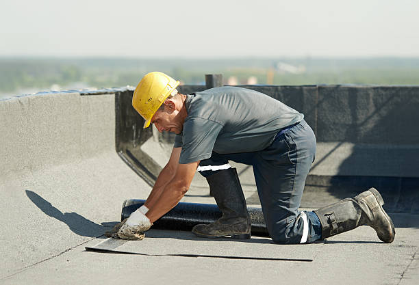 Best Specialized Insulation Services in Columbia, KY